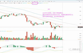  flow币最新价格行情,市场概况 USDT行情