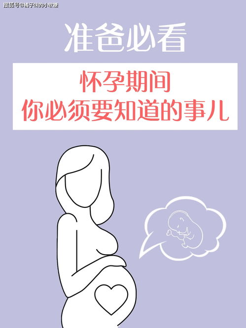 妻子怀孕,你应该要做的事儿