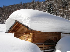 雪落无声，风过无痕——探索自然之美的前序，雪随风前一句是什么成语