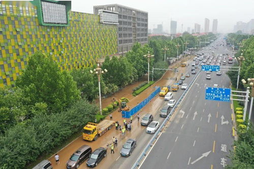 石家庄停车场收费标准(北宋路建华大街免费停车场)