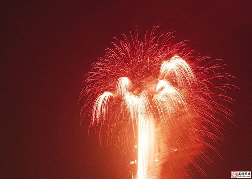 夜空中炸开的美丽烟花高清图片17