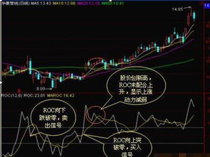 想知道ROC指标怎么用，谁可以教一下？