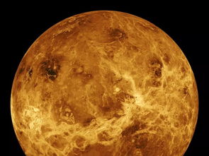 火星与金星成语,金星乱冒算不算成语？