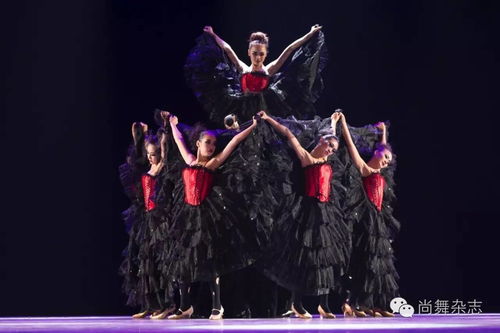 尚舞现场 北京夜 炫舞中国梦的开始 2016 CBDF国标舞艺术表演舞精品展演精彩演绎 超美图集 