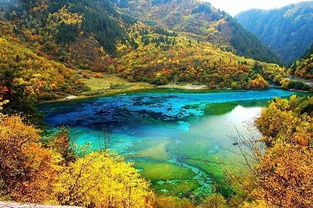 青山依旧,水依然蓝,花仍在开,我们的九寨依旧美丽 搜狐旅游 搜狐网 