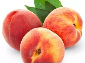 五种人不能吃桃子 搞不好会吃坏身体 