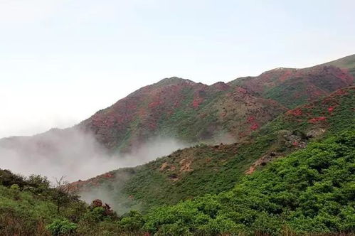 衡阳常宁天堂山景区开放公告湖南常宁天堂山门票(常宁市免费停车场收费标准)