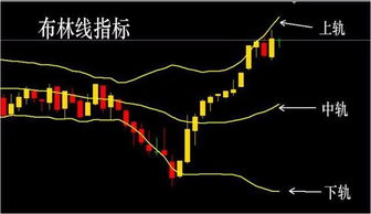 炒外汇哪些技术指标比较好用