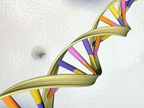 DNA双螺旋 搜狗百科 