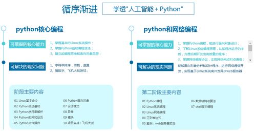 线上python培训班学费一般多少,线上pyho培训班学费大揭秘，轻松掌握编程技能！