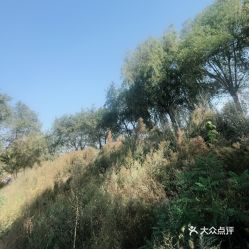 电话,地址,价格,营业时间 四平周边游 