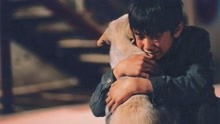 一部人和狗狗的韩国电影,狗狗为救主人而牺牲,看完忍不住泪目了