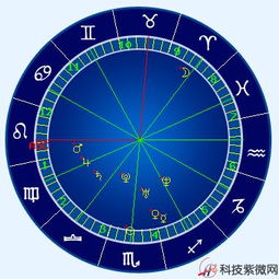 求图解 这是张个人星盘 可惜看不懂 求解 