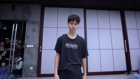 美国华裔少年Sean lew 中文名廖卓龙编舞作品