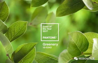 2017 Pantone 色 这么美的绿,怎么运用到生活中呢 