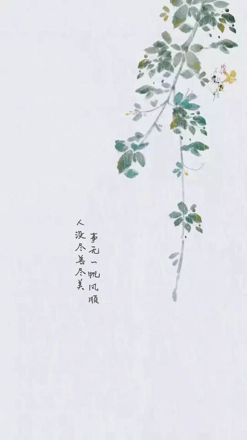 壁纸 治愈系文案