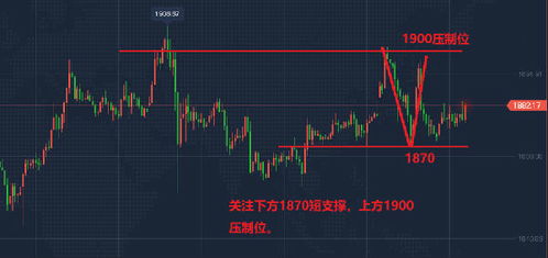 周初黄金走势顺势空：文承凯分析黄金短线上涨受阻