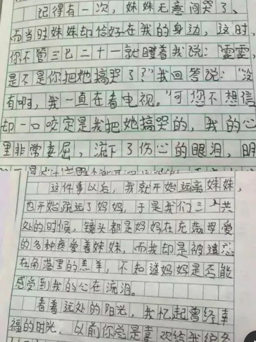 父母对我的关爱300字作文