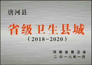 唐河县 唐河县成功创卫感言 