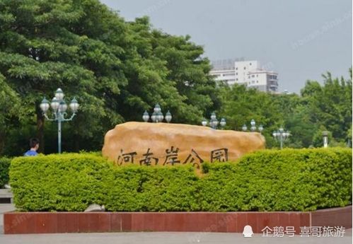 惠州鹿江公园2024,惠州鹿江公园2024计划