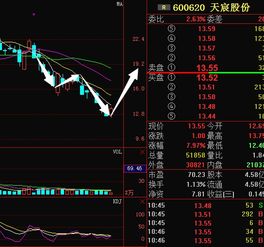 600620天辰股份后市走势如何？