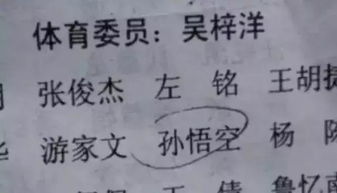 中国的名字那么美,你为什么要叫史大坨 