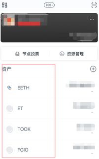 eos柚子币怎么设置,2.创建或导入钱包。