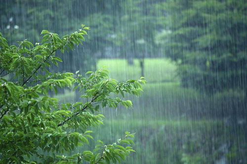 在中国,每一场雨都有自己的名字