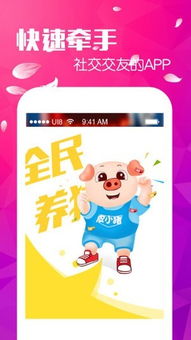 pig币客户端下载,京猪游娱pig币什么东西