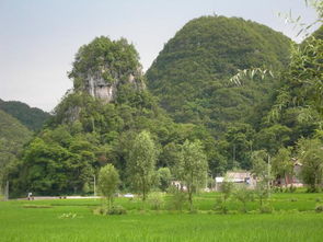 贵州黔西南兴义郑屯镇天气预报