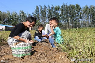 南阳卧龙区 南召 镇平花生行情汇总,剩余货源少,消耗冷库为主