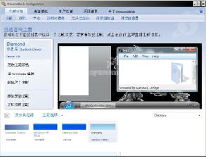 WindowBlinds怎么用