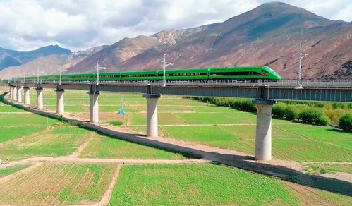 川藏铁路太震撼 外国同行直言没100年不行,中国出手10年便搞定