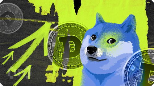 doge币发行价多少,aidoge发行总量是多少agld发行总量