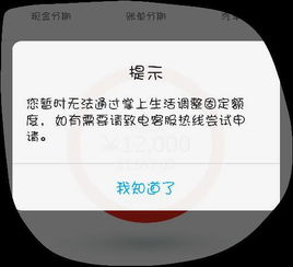 我今天在招商银行掌上银行申请调整固定额度后,显示已提交申请,请耐心等待,这是什么意思啊 