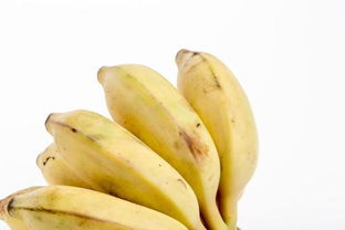 香蕉,芭蕉,小米蕉有什么区别 