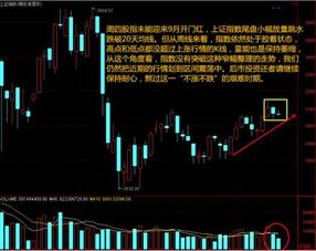 明天股市会是什么状况呢