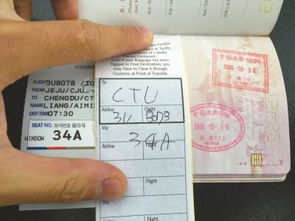 旅游护照去韩国打黑工(在韩国打黑工记录还能跟团去旅游么)