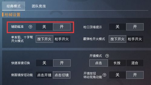这是和平精英最适合新手玩家的设置 开启后能提高对枪能力