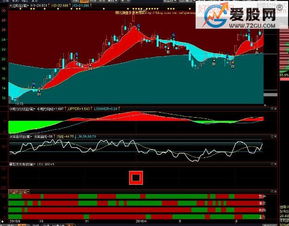 上海益盟和沈阳麟龙这两家卖股票软件的公司哪个好一点，要去面试了不知道选哪个好。