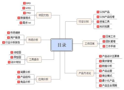 产品经理开发流程：掌控全局，创造卓越的商业价值