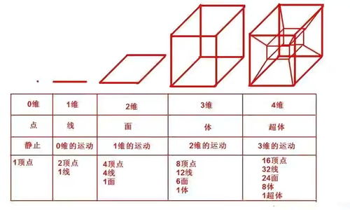 四维在三维的投影应该怎么画