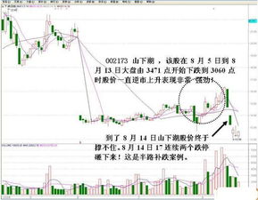 做股票中  强势股的选股公式如何写  请高手回答