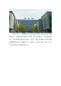 重庆旅游职业学院什么时候建校