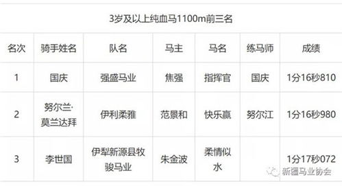 大陆马 2020中华民族大赛马 新疆马会 木垒站 性能测试系列赛顺利举办