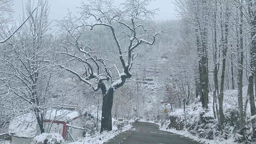 文县下大雪,有人写了一首诗,突然火了 