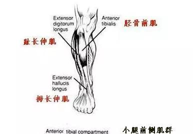 跑者不可忽视的小腿训练 6组动作助你远离伤病