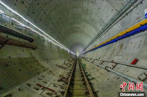 探访华南最大管片厂 为大湾区地铁 造隧道 