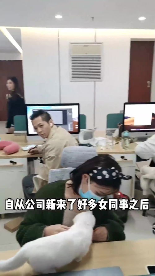 小猫咪能讨厌主人到什么程度 一定要看到最后 