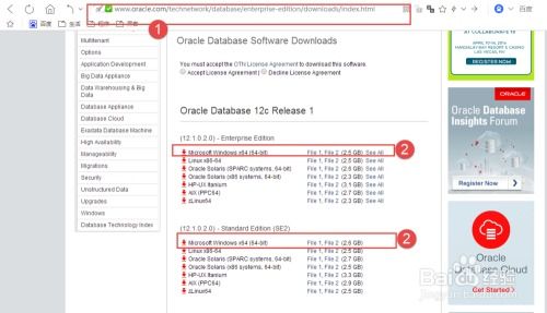 oracle報錯00922